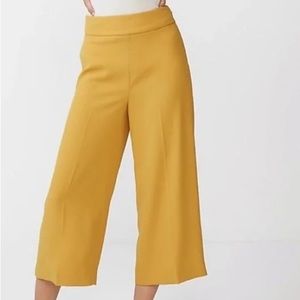 High Rise Yellow Express Culottes Wide Leg Pants